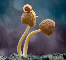 手机号压力测试器